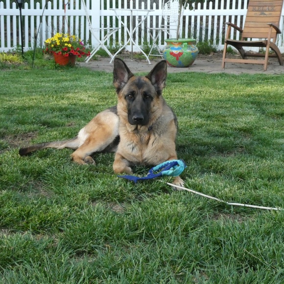 Meet your Posher, Susan - Picture 1 of 1